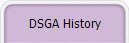 DSGA History